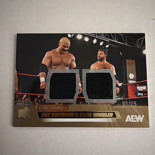2026 upper deck aew - upper, dual