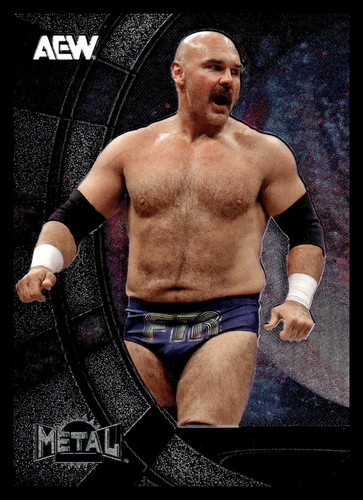 2025 skybox metal universe - skybox, aew